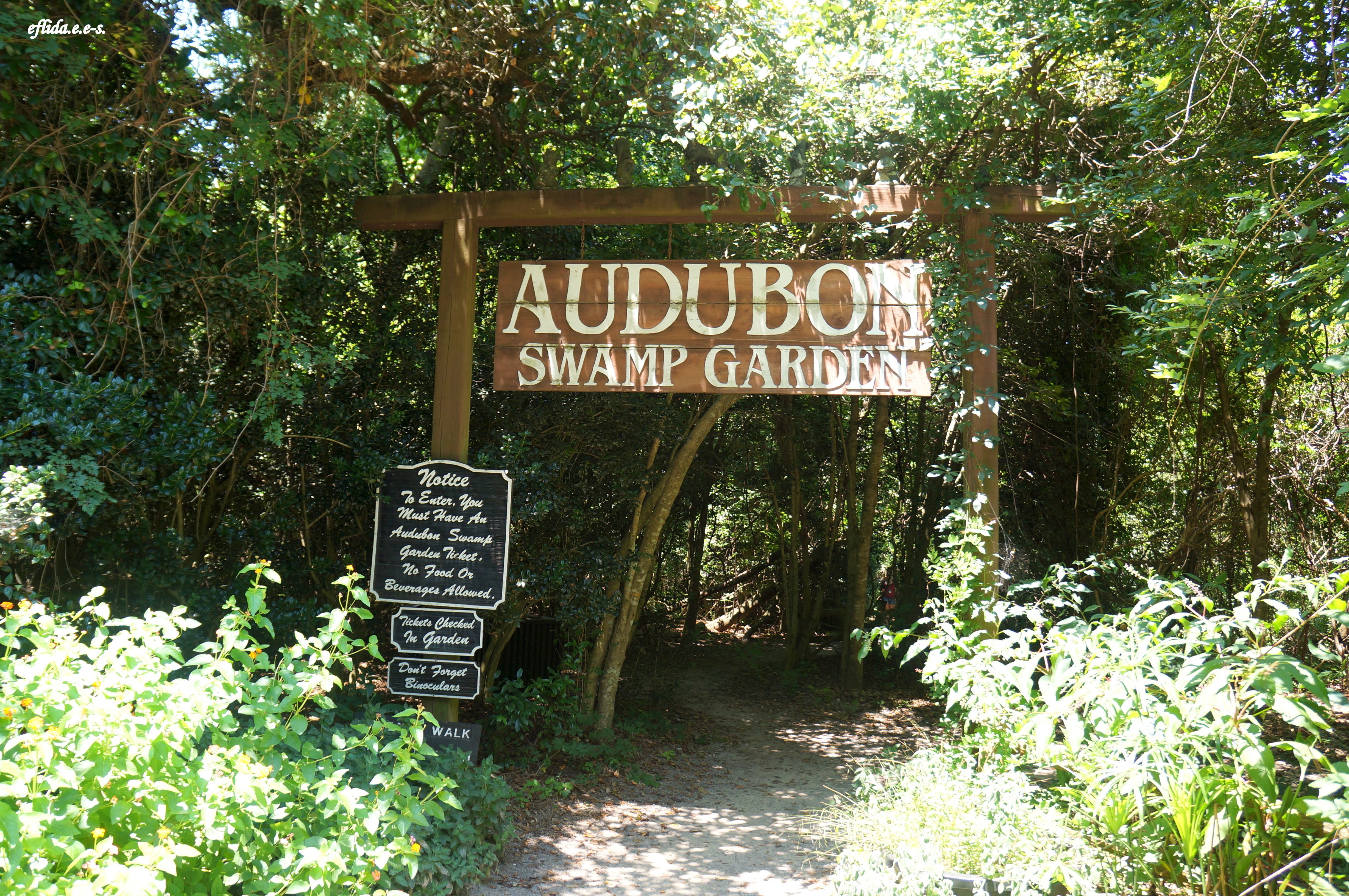 Audubon Swamp Garden Charleston South Carolina I Am Uniquely