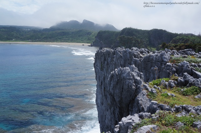 The captivating view from Cape Hedo point in Okinawa, Japan.