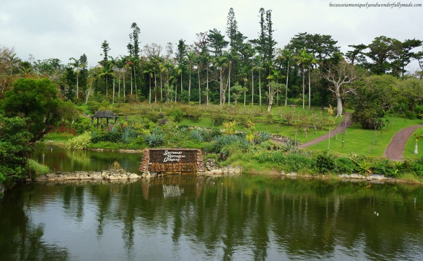 The Water Park at Southeast Botanical Garden in Okinawa City, Okinawa, Japan. (東南植物楽園 Tōnan Shokubutsu Rakuen)