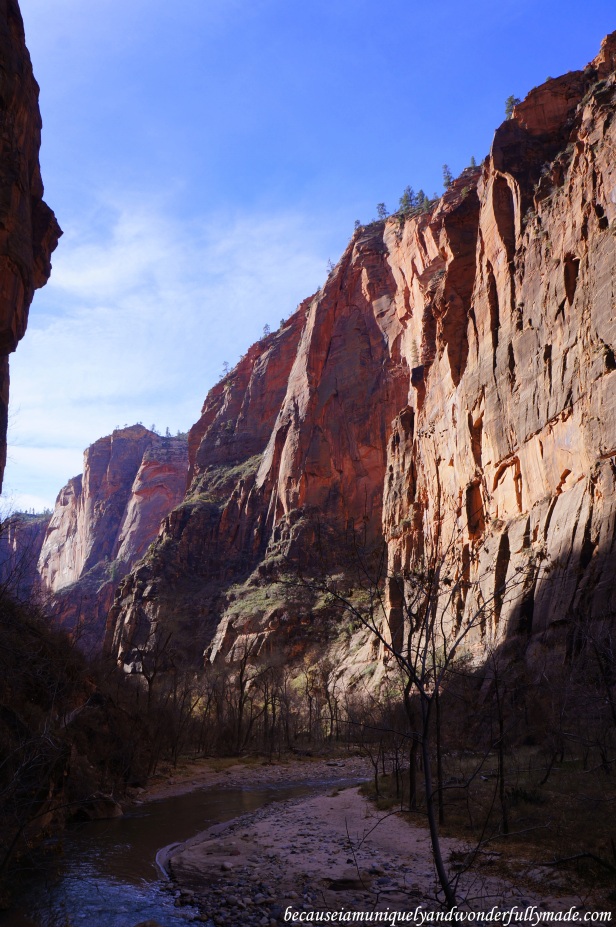 Riverside Walk, also known as the Gateway to the Narrows, at Zion National Park in Utah.