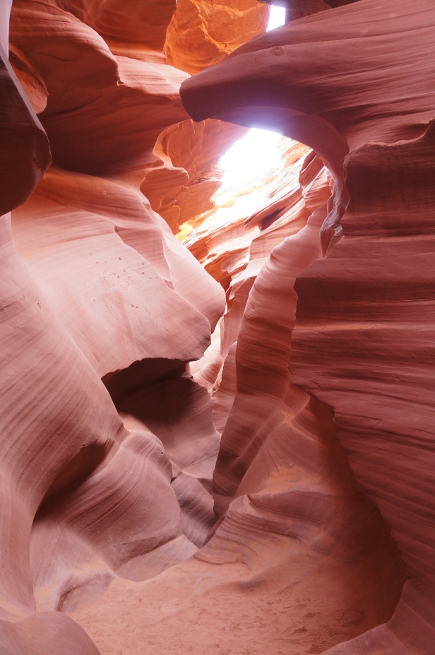 The face of an eagle at Lower Antelope Canyon in Page, Arizona.