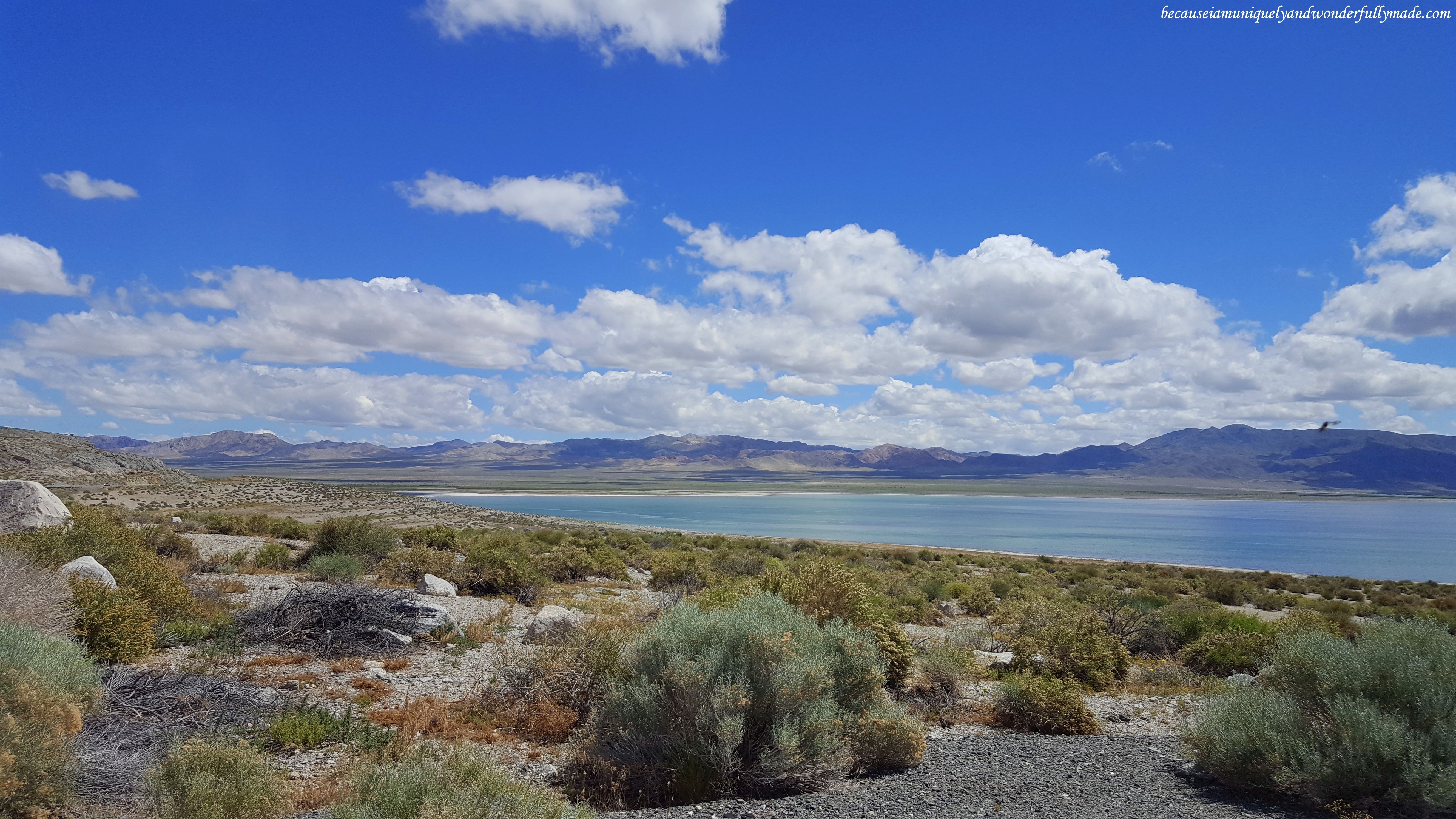 Walker Lake in Nevada is a terminal lake, meaning it has no natural outlet, except absorption and evaporation.