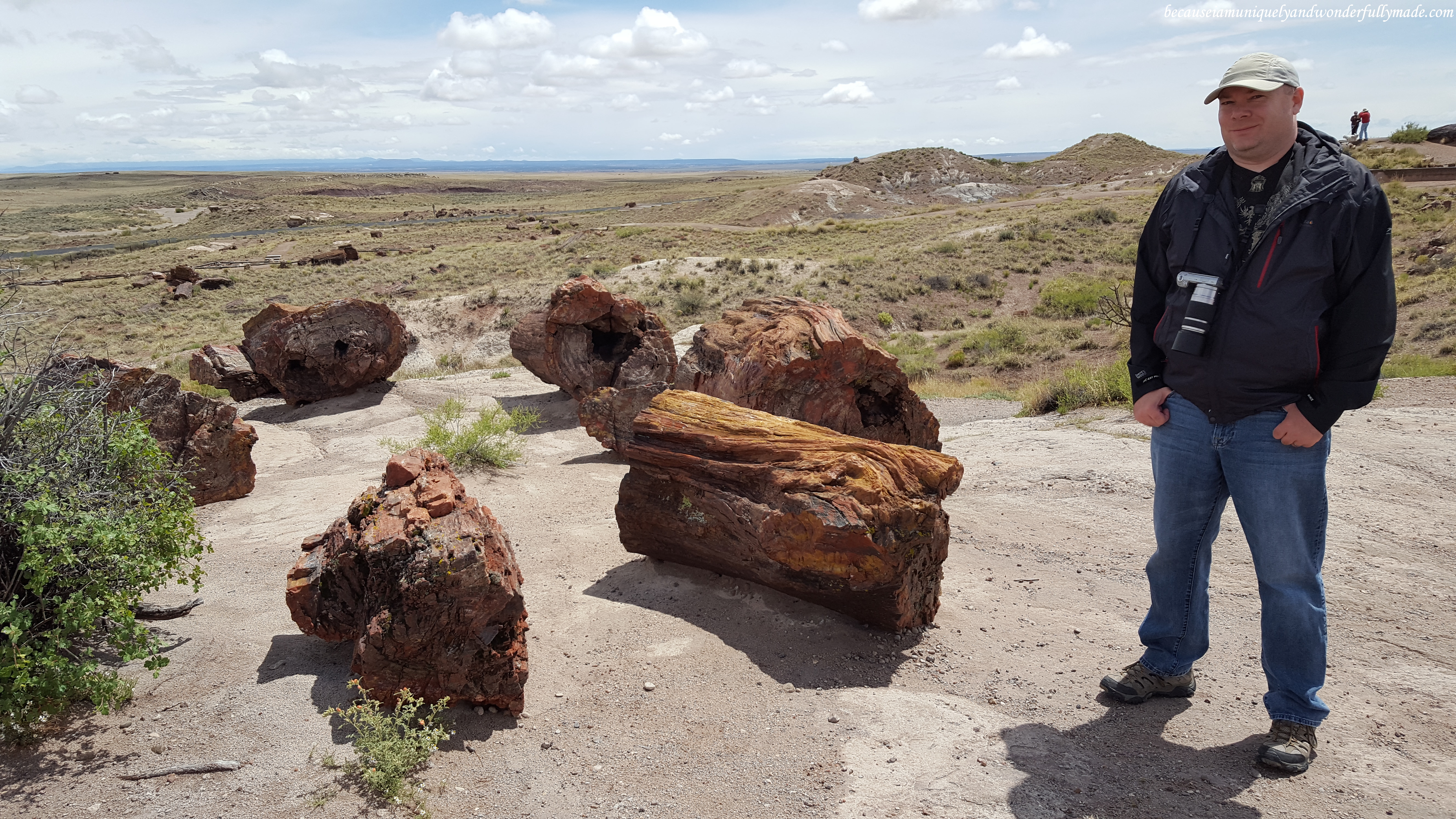 Visitors can get up close and personal to the fossilized giant logs at Giant Logs trail in Petrified Forest National Park in Arizona.