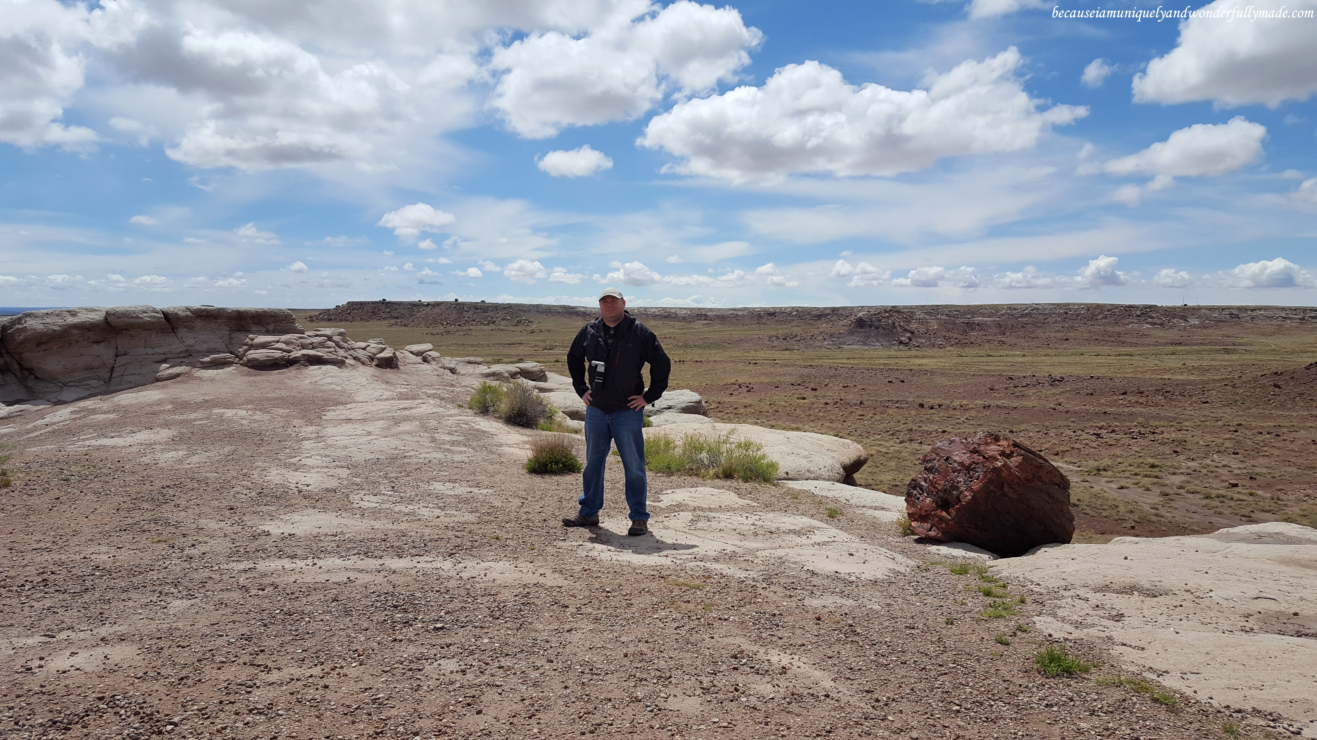 Petrified Forest National Park covers about 230 square miles making it an adventure to scout for petrified specimens.
