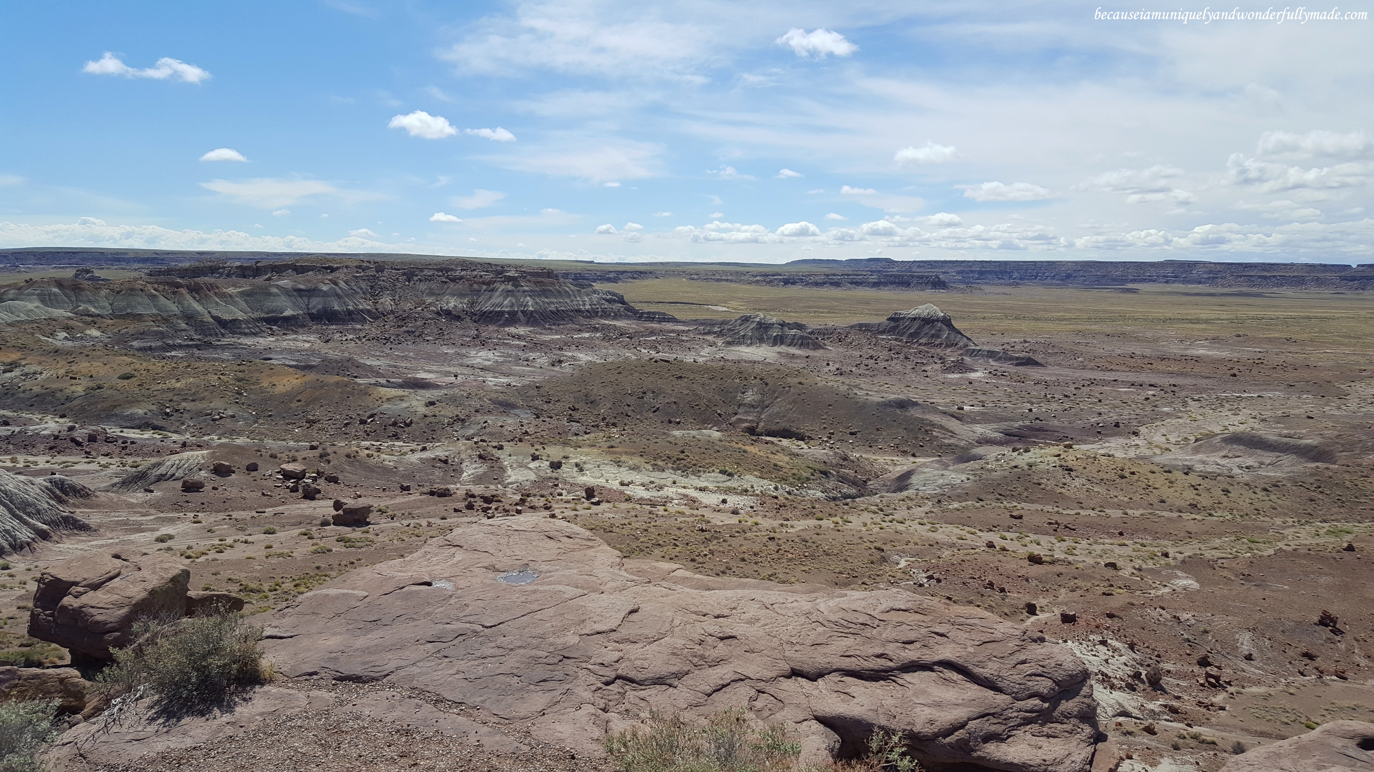 Overlooking the Jasper Forest at Petrified Forest National Park in Arizona. 