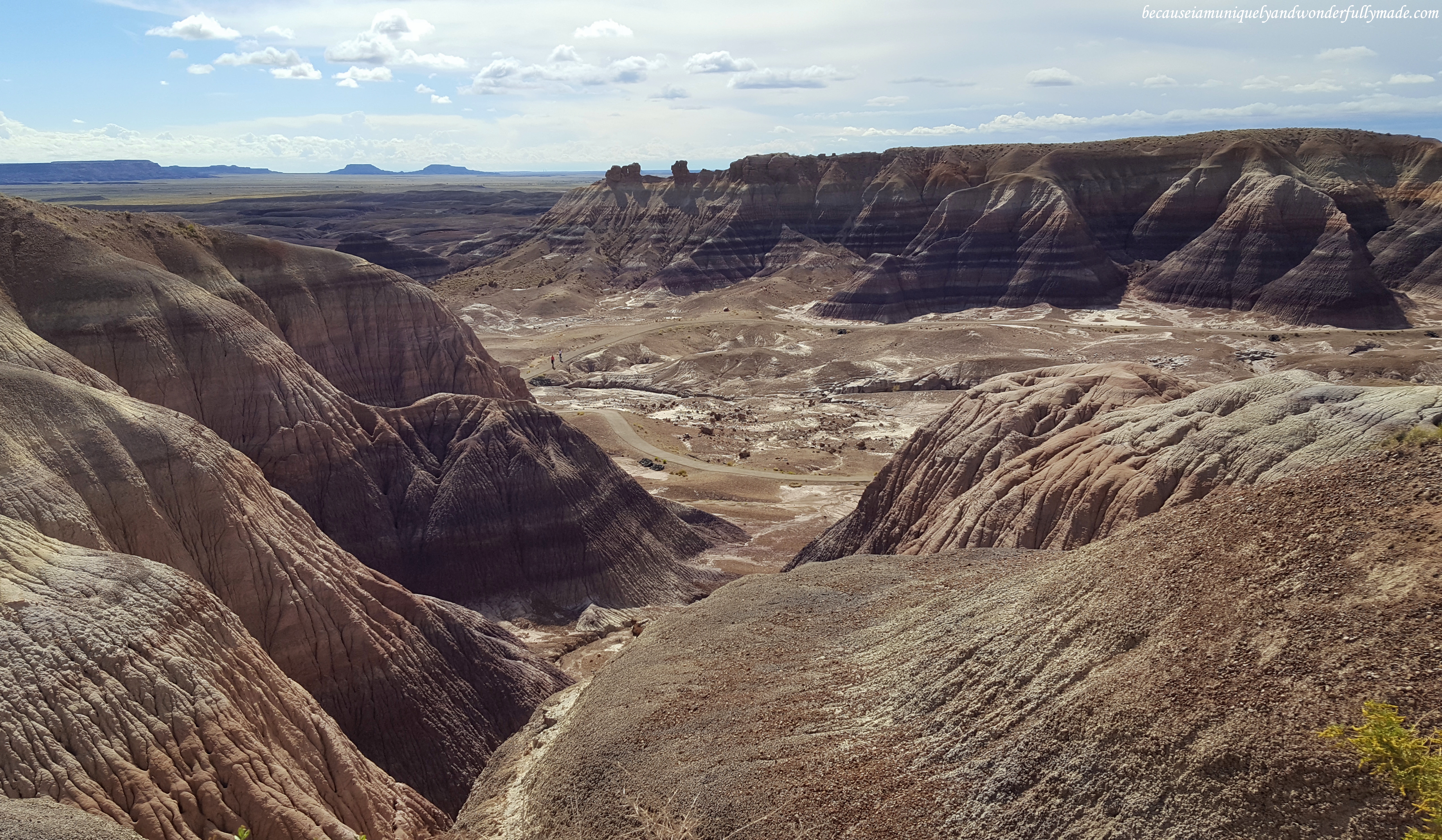 The beautiful badlands of Petrified Forest National Park in Arizona.