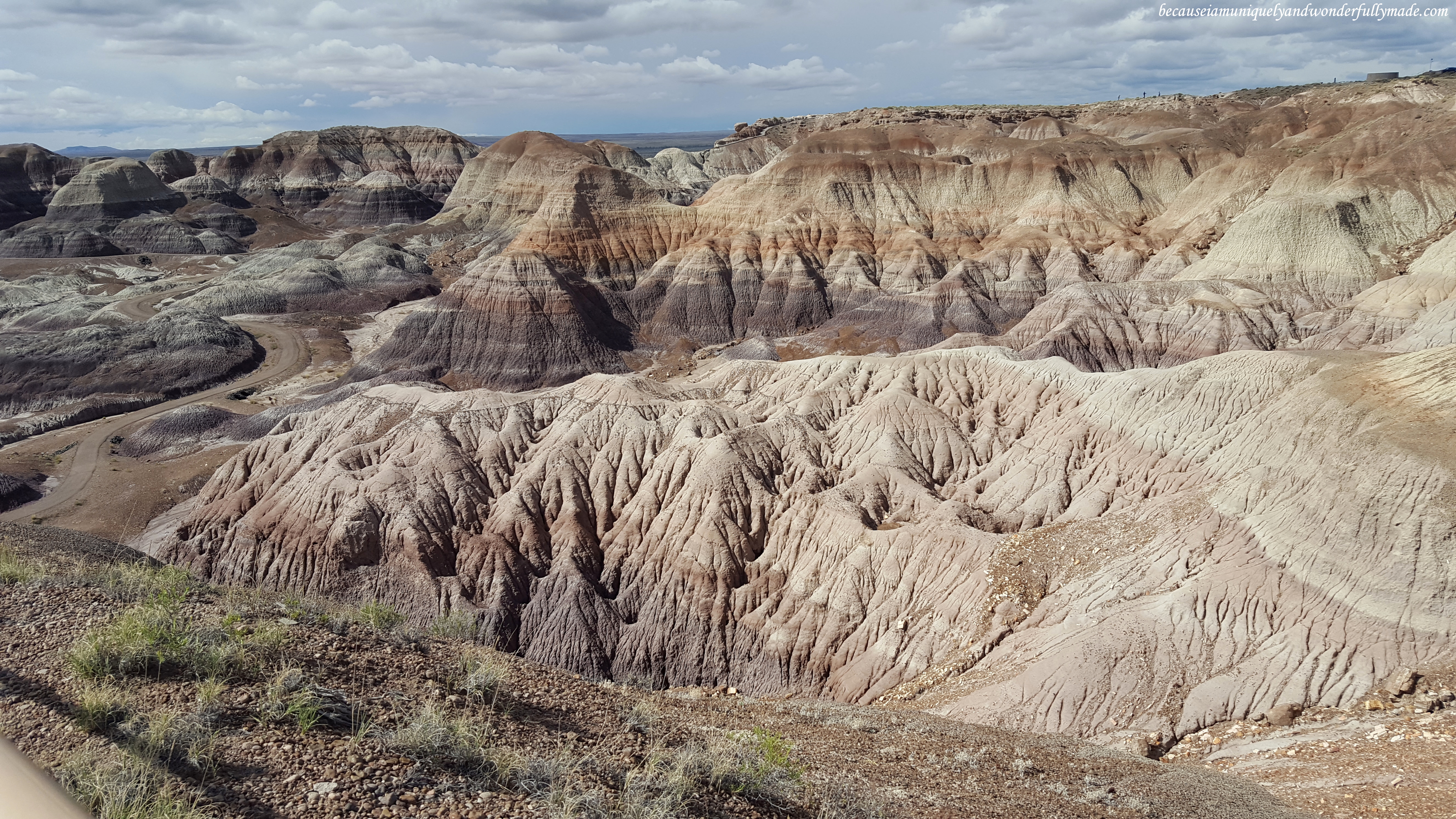 The gorgeous badlands of Petrified Forest National Park.