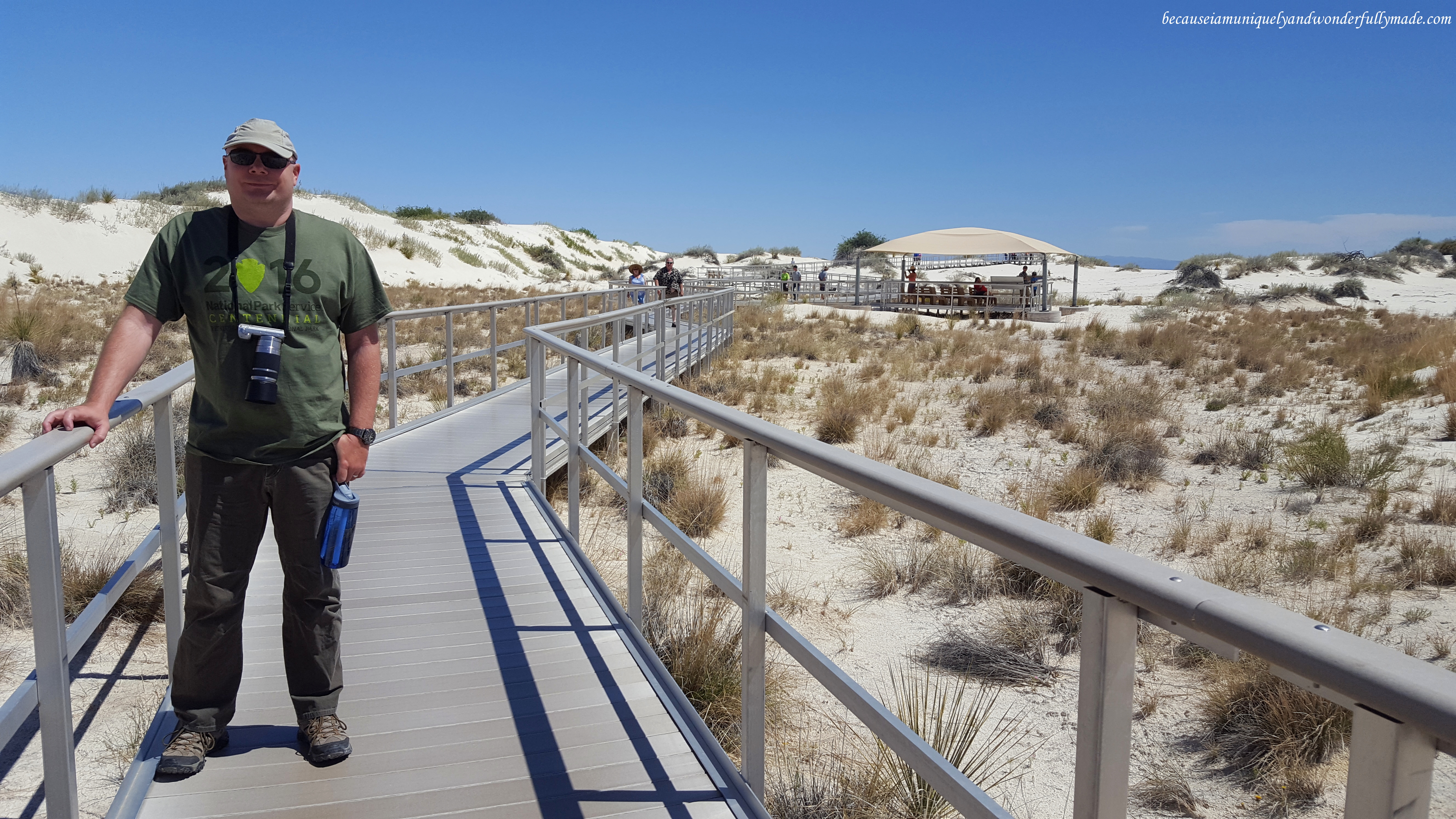 The Interdune Boardwalk is a half mile round trip trail located just along the Dunes Drive. It is a self-guided walk with 10 outdoor exhibits along the boardwalk.