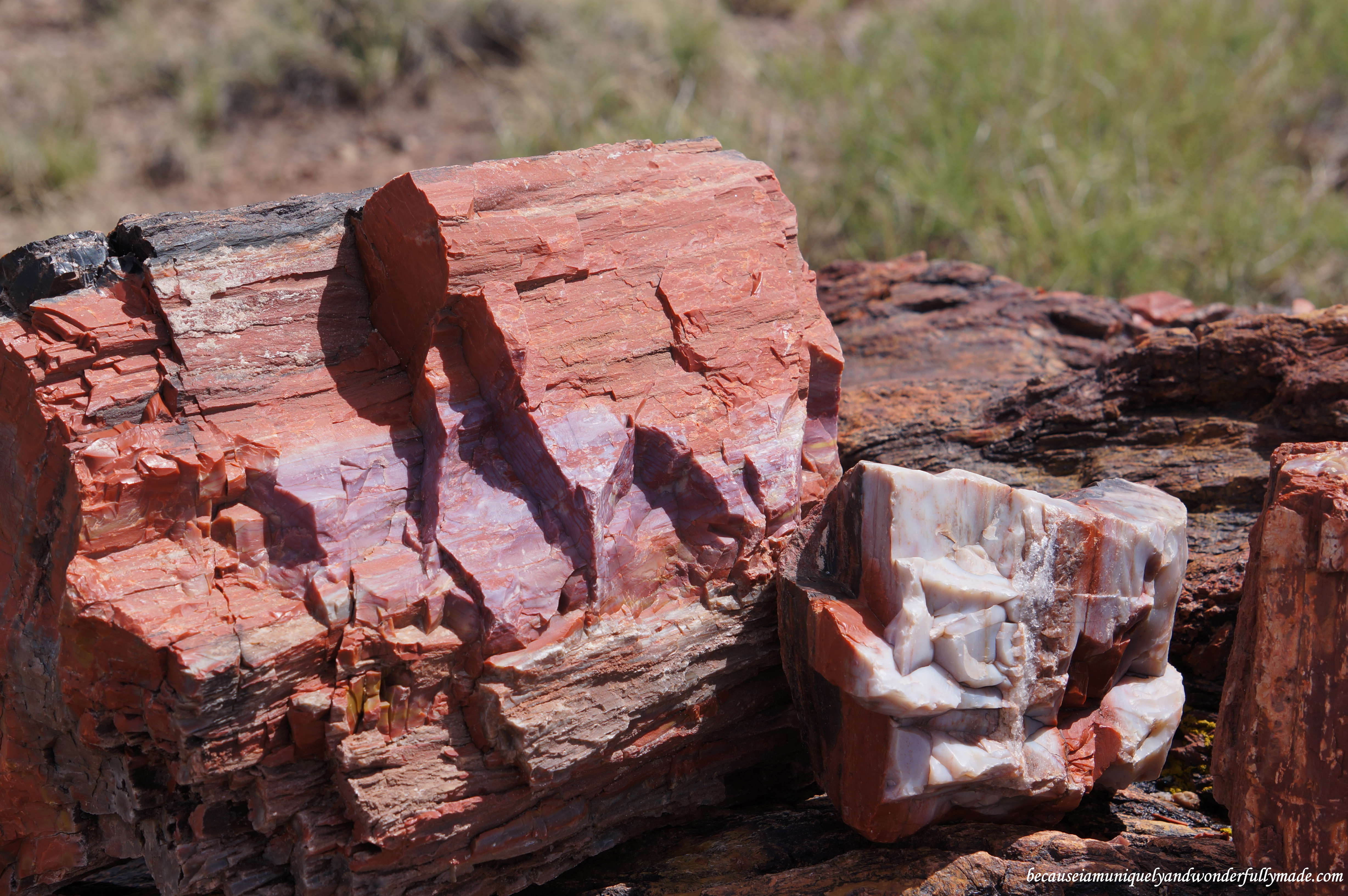 Beautiful chunk of a fossilized wood along the Giant Logs Trail at Petrified Forest National Park in Arizona.