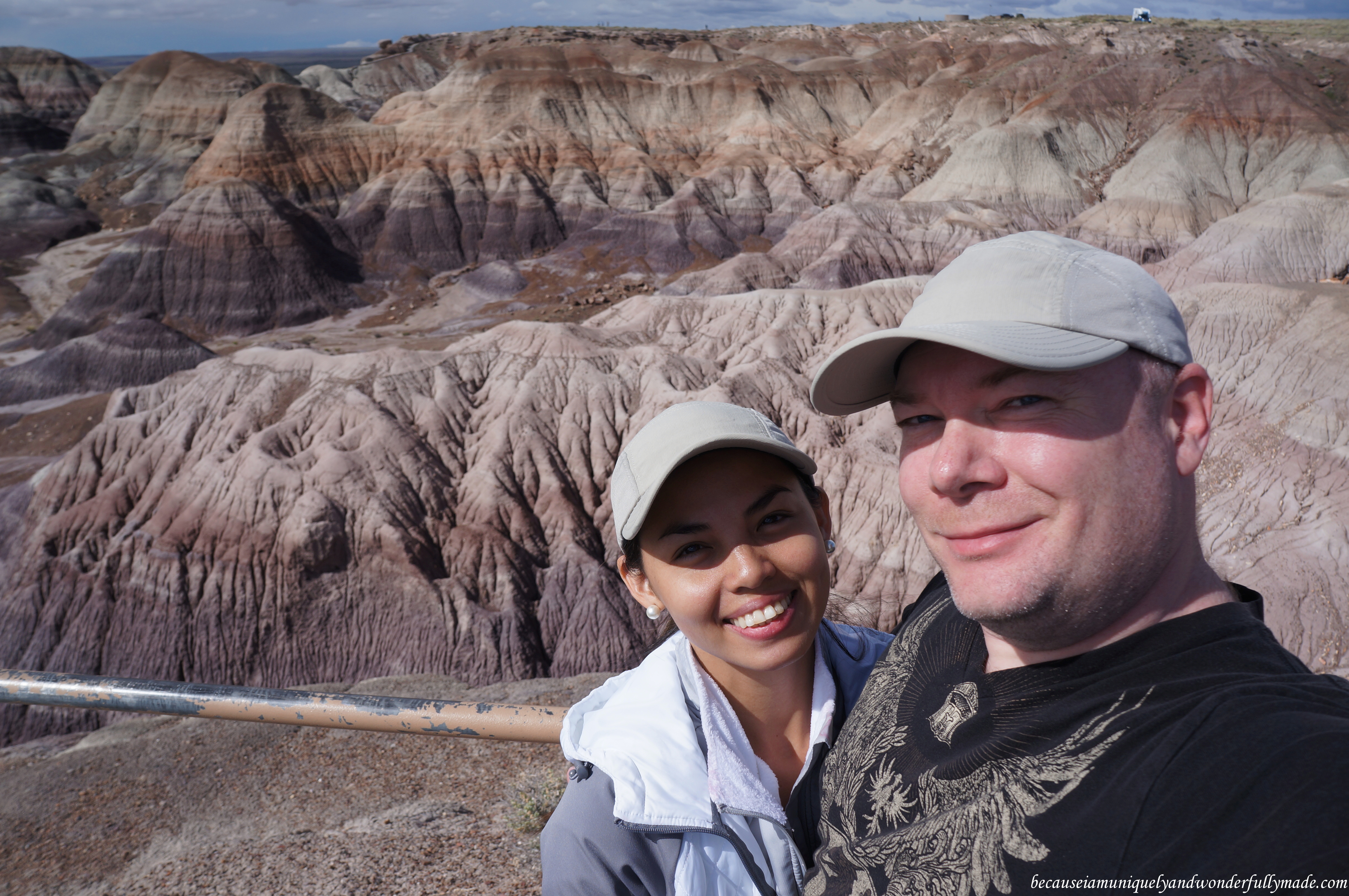 At Blue Mesa in Petrified Forest National Park in Arizona.