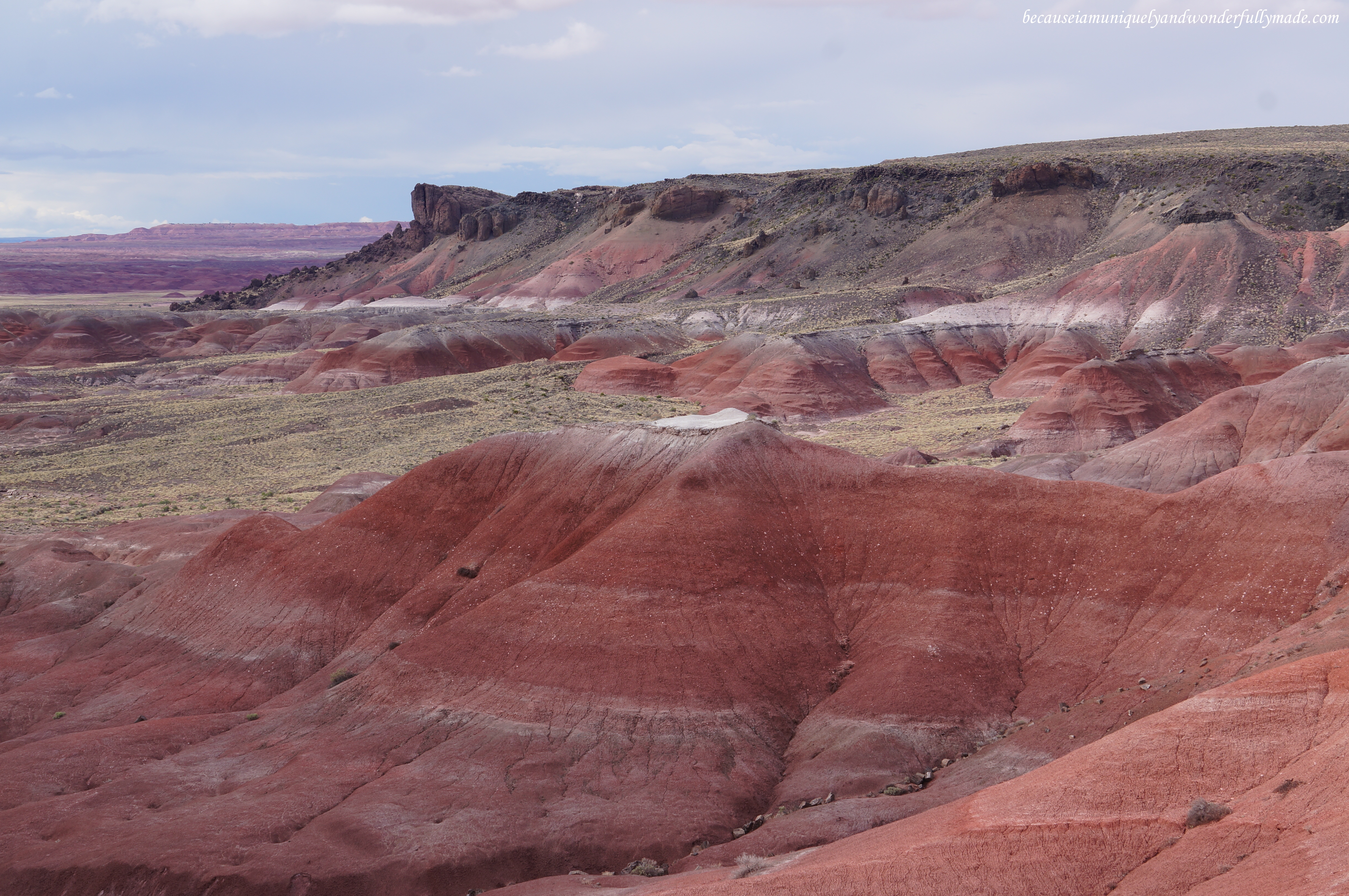 The Painted Desert as seen from Lacey Point in Petrified Forest National Park in Arizona.