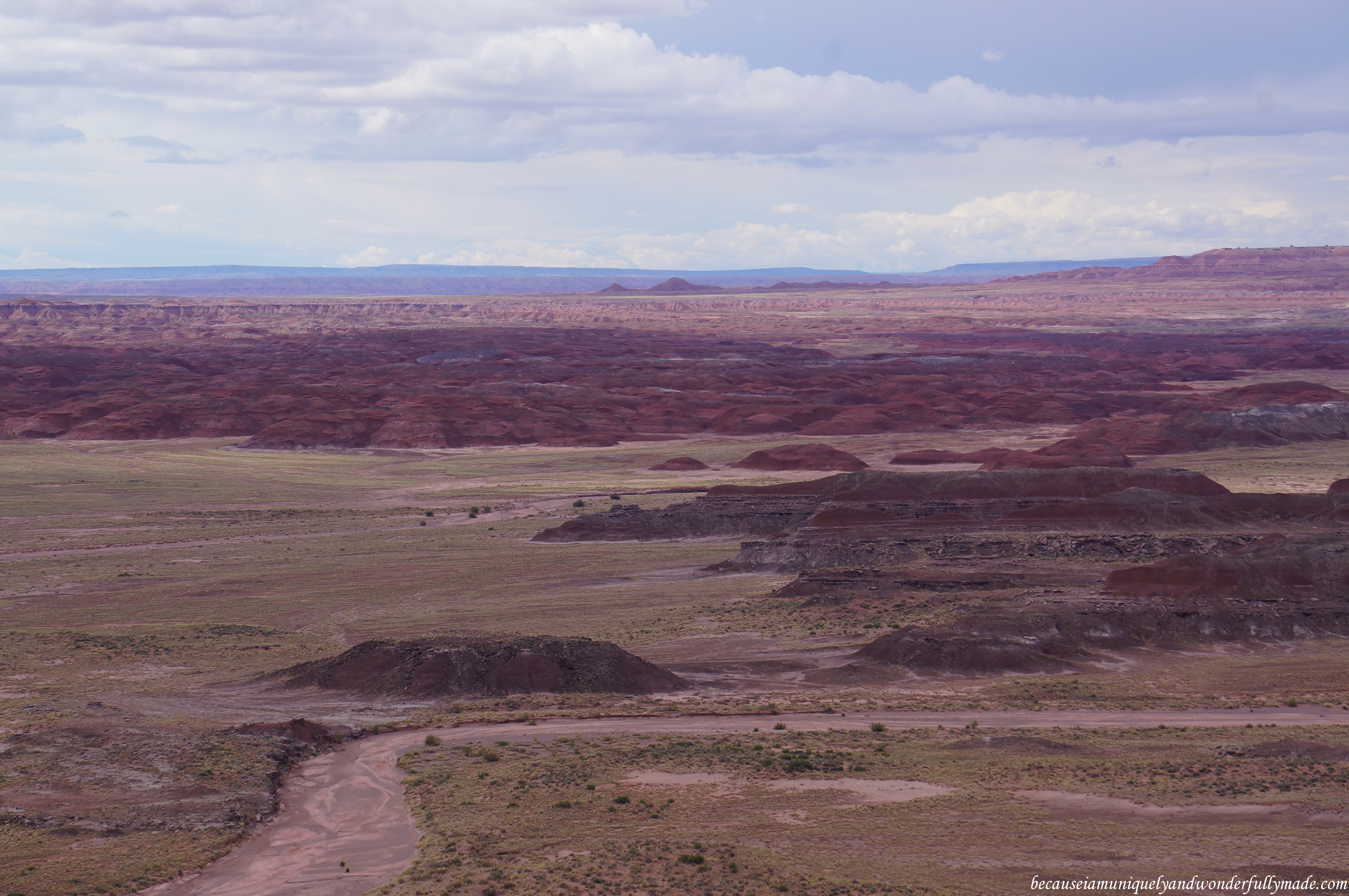 The gorgeous Painted Desert as seen from Pintado Point in Petrified Forest National Park in Arizona.