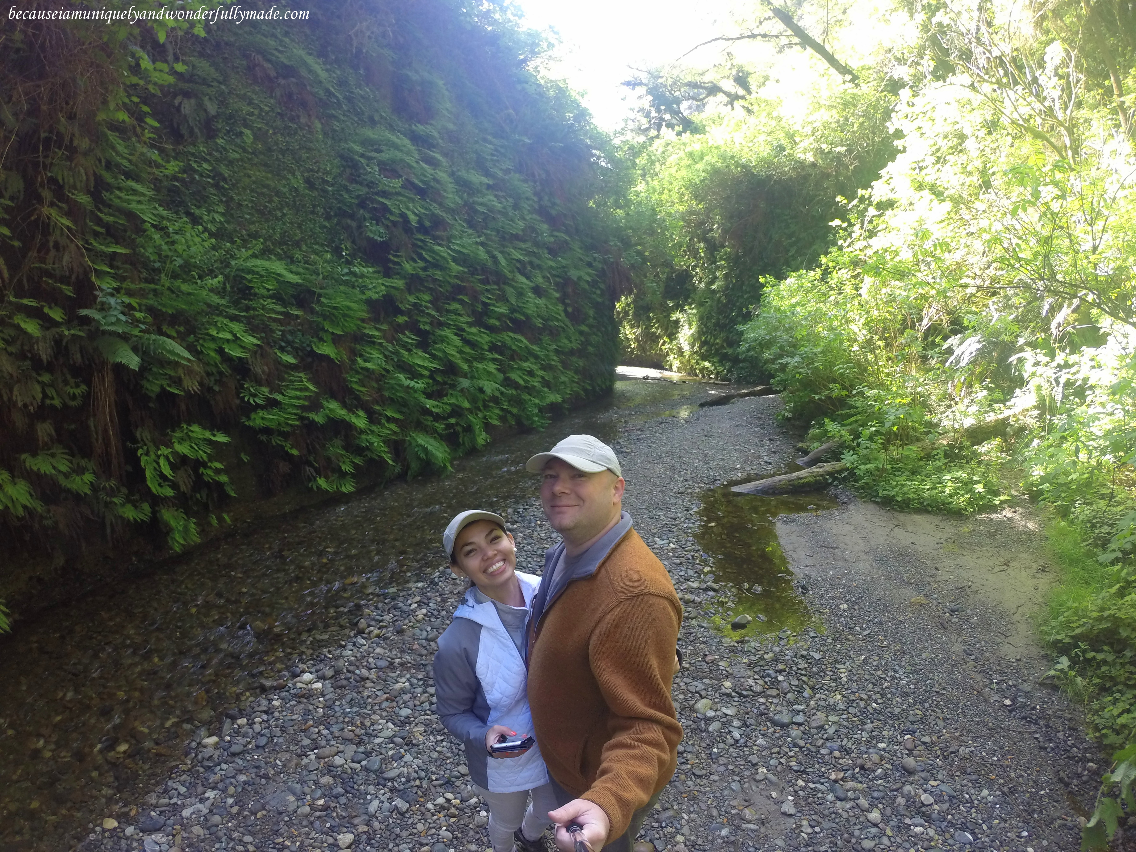 Last photo before we left Fern Canyon in Redwood National and State Parks in California.